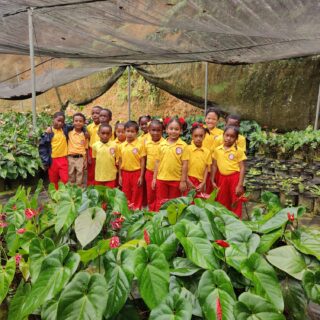 485390996_1152823449970545_5270056118648216630_n