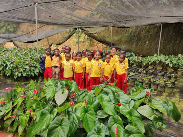 485390996_1152823449970545_5270056118648216630_n